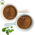 Asiaticosides Gotu Kola Extract Centella Asiatica Extract